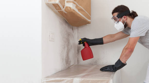 Professional Bathroom Mold Removal technician working in Westville, IL