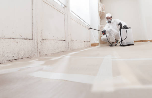 24/7 Emergency Bathroom Mold Removal experts in Westville, IL