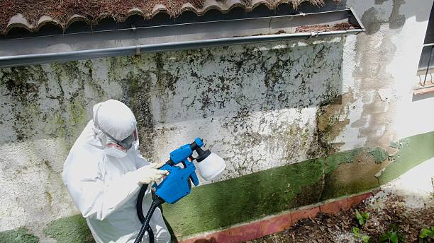 Top rated local Bathroom Mold Removal specialists in Westville, IL